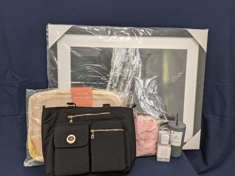 Lucky Luxury Raffle Pkg Web Images 02